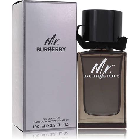 mr burberry jasmin|burberry cologne for men.